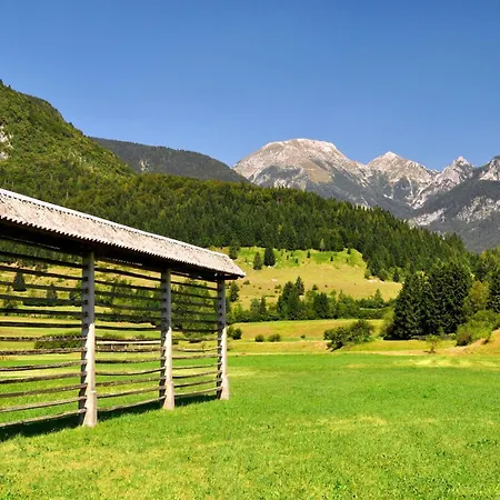 Mountain Jereka - Happy *